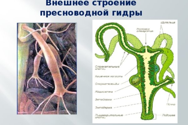 Как зайти на кракен в тор браузере